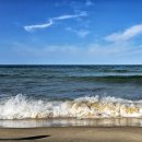 짬뽕의신주문진점 이미지