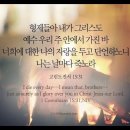 오늘의 &#39;영어성경 사진&#39;(298강) “날마다 죽는 삶”(고린도전서 15장 31절) 이미지