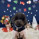 빼로(perro) 네이버블로그