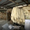 경종농장 이미지