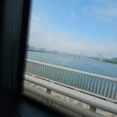 바부각시네뜨락 | 혼자 얌전하게 갔다 온 강릉 당일치기