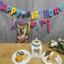 아반테이블 이미지