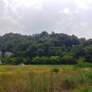 배기공원 이미지