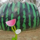 청운오토캠핑장 이미지