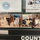 냥카페 묘연 네이버블로그
