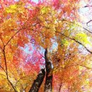 장충파출소 이미지