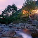 들꽃나라 이미지