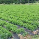 광장한의원 이미지