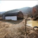 고령농장 이미지