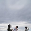 (주)대관령전망대