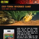 금일슈퍼