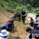 함양산촌 이미지