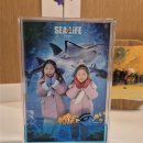 리나플러스 | 씨라이프 부산 아쿠아리움 할인 꿀팁 해운대 여행 마지막 코스