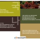 국수나무 이미지