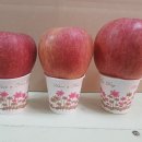 청송청과 이미지