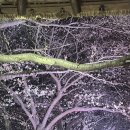 서천목장 이미지