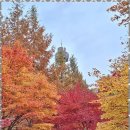 아주행정사사무소 이미지