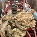 김유정로 L 이미지