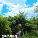 노씨네 | 전북 김제 카페 추천 5곳