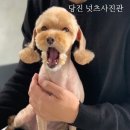 넛츠사진관 - 당진시 당진중앙2로 229-11 | 넛츠사진관