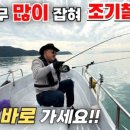 선화동쭈꾸미