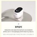 콩냥콩냥 - 계룡시 번영9길 26 | 콩냥콩냥 고양이 무선 정수기