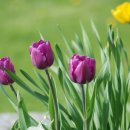 주님사랑교회 이미지