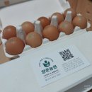 양촌농원 | 양촌농원 난각번호 1번 계란, 자유방목 동물복지란, 건강한 계란 추천