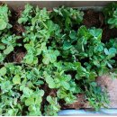 광신세탁소 이미지