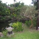 중부식당 이미지