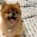 앙꼬네 미용실 이미지