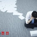법무법인천선 이미지