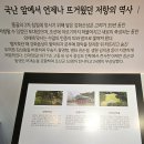 [강화도 가볼만한곳] 제적봉 ＜강화평화전망대＞ 임진강 예성강 한강이 만나, 연백평야 개풍군 북한 바라보기, 간척역사, 통일 이후 이미지