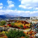 (주)도성개발 - 2391 | (주)도성개발