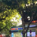 하누리약국 이미지