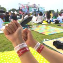 가평배수펌프장 | [가평] 8/26(토) KT 보야지 투 자라섬 페스티벌ㅣ티켓팅, 반입금지, 반입가능, 주차, 라인업 등 기본정보