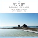 CU안면도점 | 태안 안면도 꽃지해수욕장, 안면도수목원 산책하기좋은곳