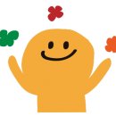 파니피카 이미지