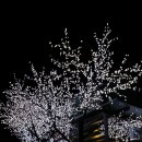 카페소복 이미지