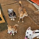 카페멍스 이미지