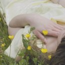 모두모두 이미지