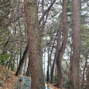 자산공원(해오름전시실) 이미지