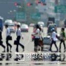 아지랑이 경향신문