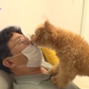 재순농장 이미지