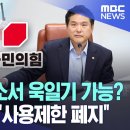 국짐 시의원 서울 공공장소서 욱일기 사용제한 폐지..뼈속까지 니뽄이네 이미지