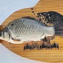 양덕낚시터 이미지