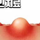 수원-0568 네이버블로그