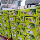 농수산물도매시장 채소2동_1 이미지