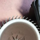 가족크리닝?? 이미지