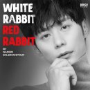 화이트래빗 이미지